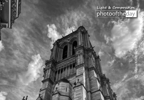 Charlie Chaplin by Mirka Krivankova - Art Photography, Photo of the Day, Mirka Krivankova, Black and White Photography, Photography Awards