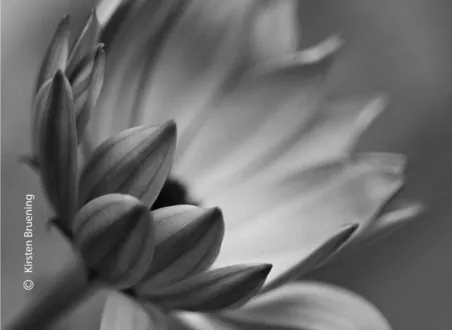 Photo of the Month — September 2021