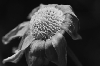 Experimenting Low Key by Kirsten Bruening