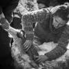 Scissor Shearing by Jose Miguel Albornoz - Photojournalism, Photography, Art Photography, Black and White Photography, Photo of the Day